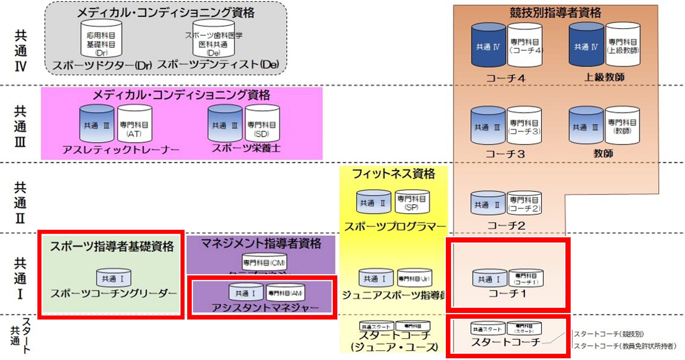 資格体系図(赤枠付き)